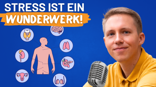 Illustration menschlicher Organe und des Menschen; „Stress ist ein Wunderwerk!“
