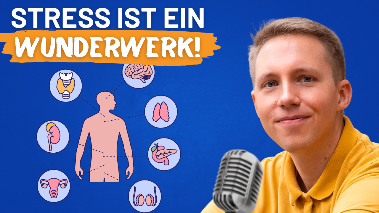 Illustration menschlicher Organe und des Menschen; „Stress ist ein Wunderwerk!“
